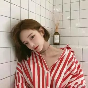 白狮奇缘
